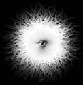 an eye